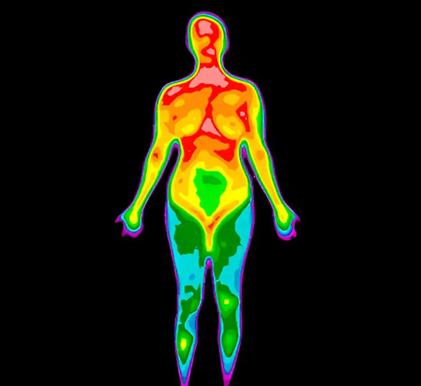Thermography breast health scan