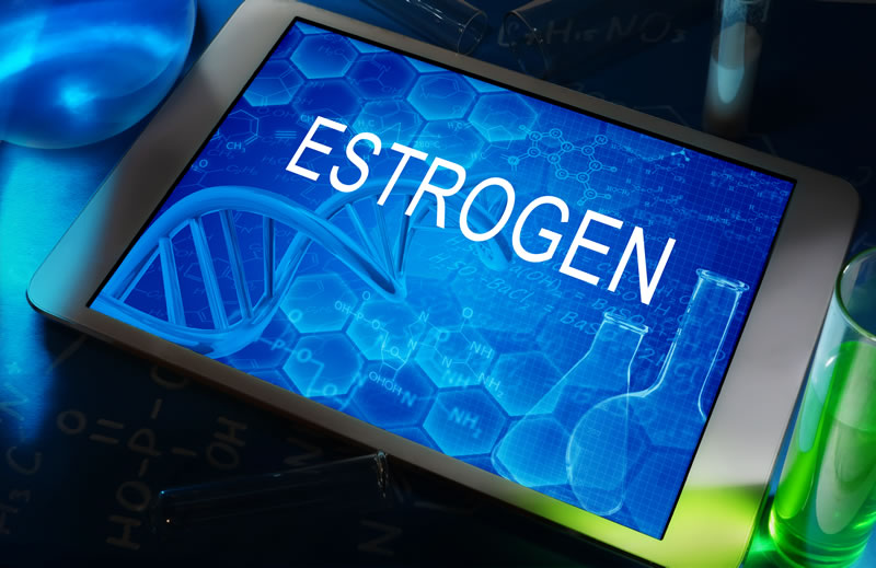 Fight Back Against Breast-Cancer-Promoting Environmental Estrogens