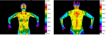 thermography imagery