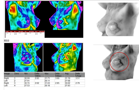 thermography imagery