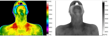 thermography imagery